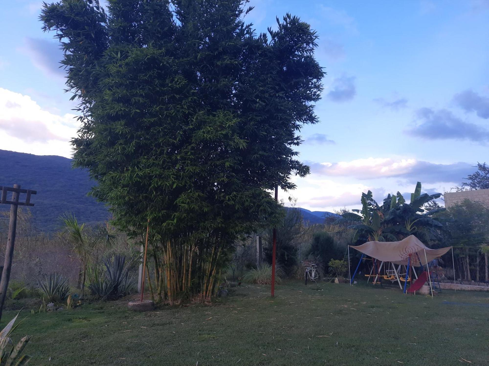 La Cabaña de Blanca Jalpan de Serra Habitación foto